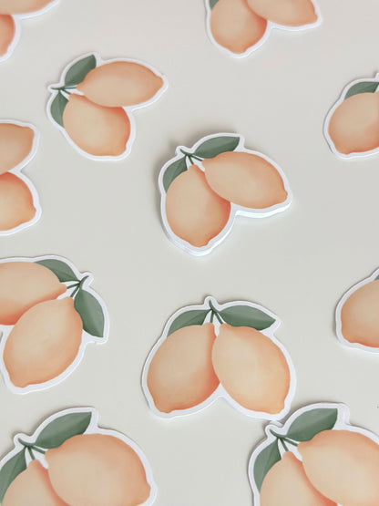 Pegatinas ilustradas de limones del Mail Club Muy Musas, diseño original de Natalia Naya
