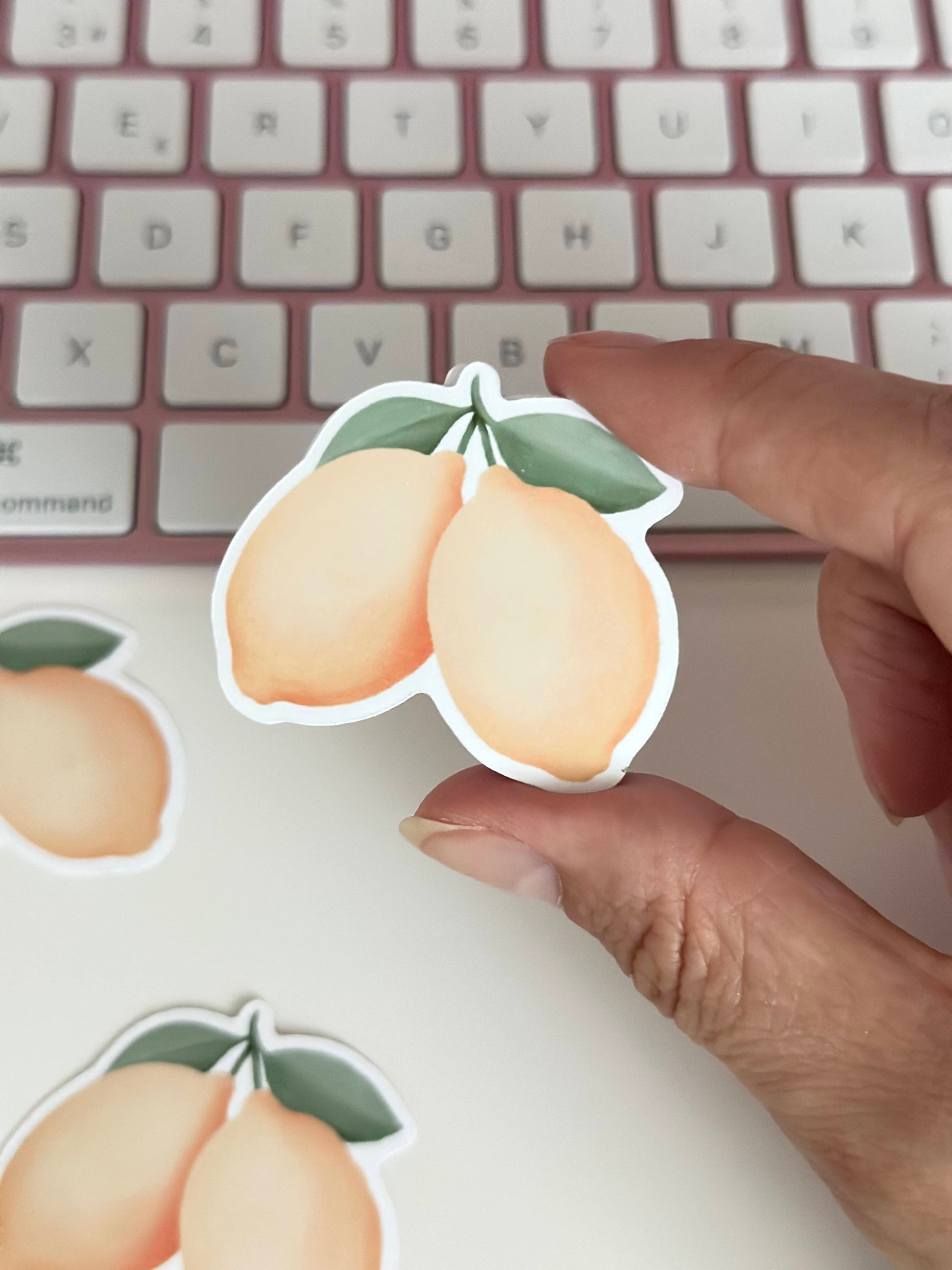 Detalle de pegatinas troqueladas con diseño de limones para decoración en proyectos de snail mail